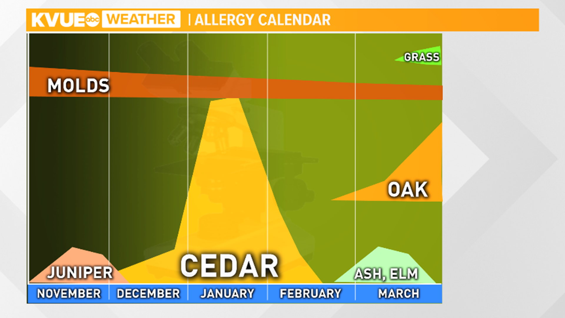 Allergy Alert: Cedar pollen count to stay high through Tuesday | kvue.com