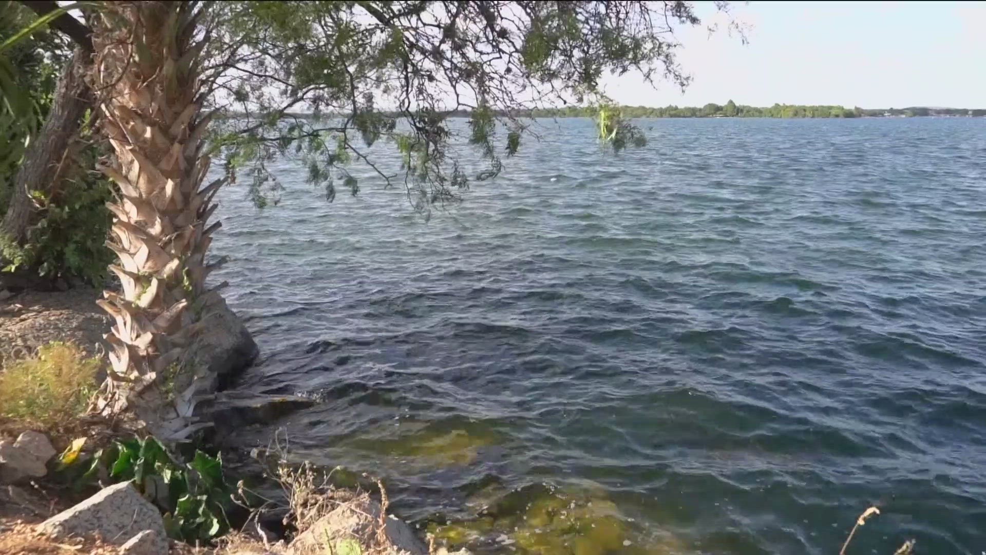 A rare infection from a microbe found in fresh water killed a person from Travis County. The person contracted a brain-infecting amoeba after swimming in Lake LBJ.