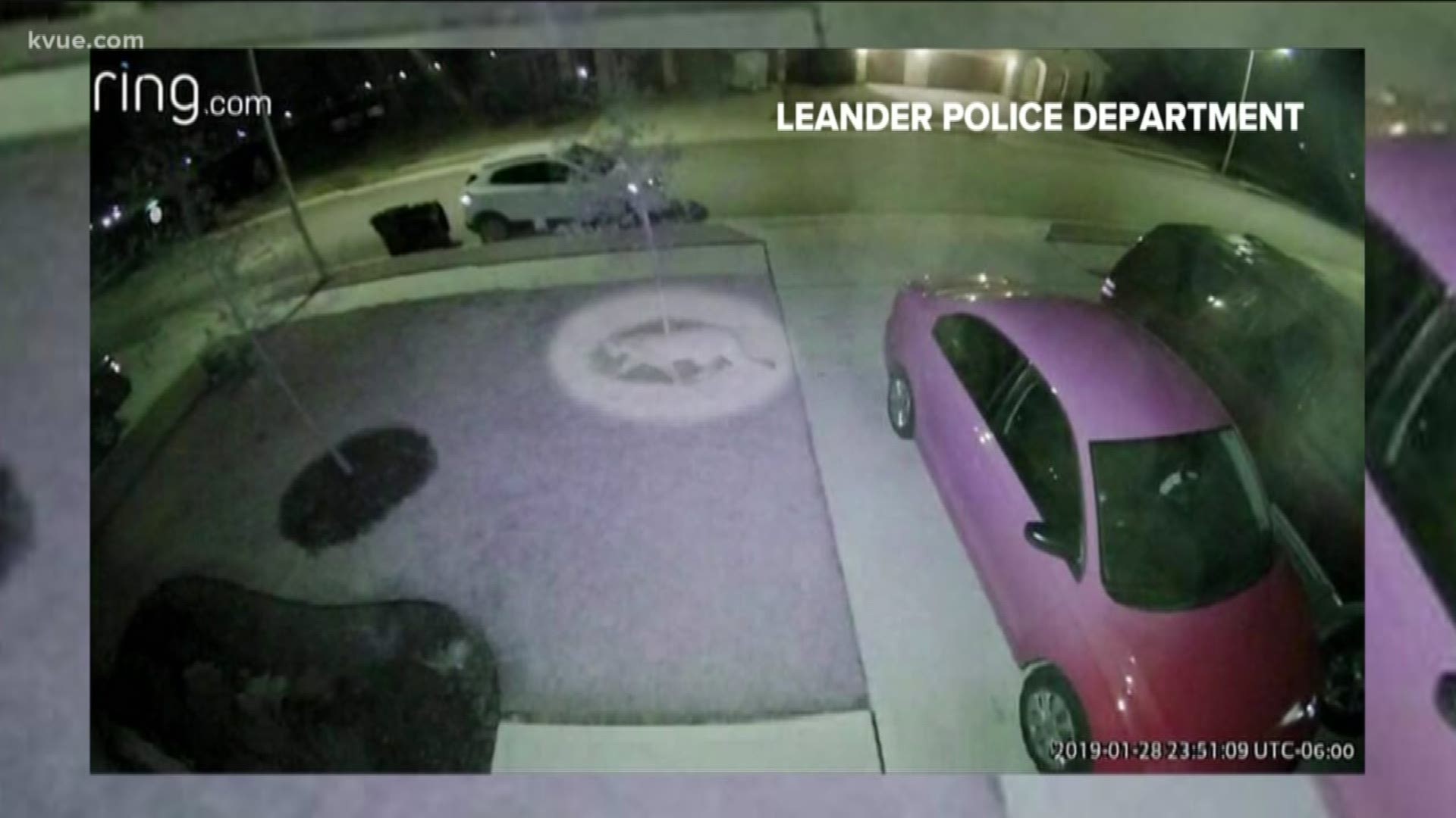 Leander police are providing a few safety tips after a cougar was spotted in a residential neighborhood.