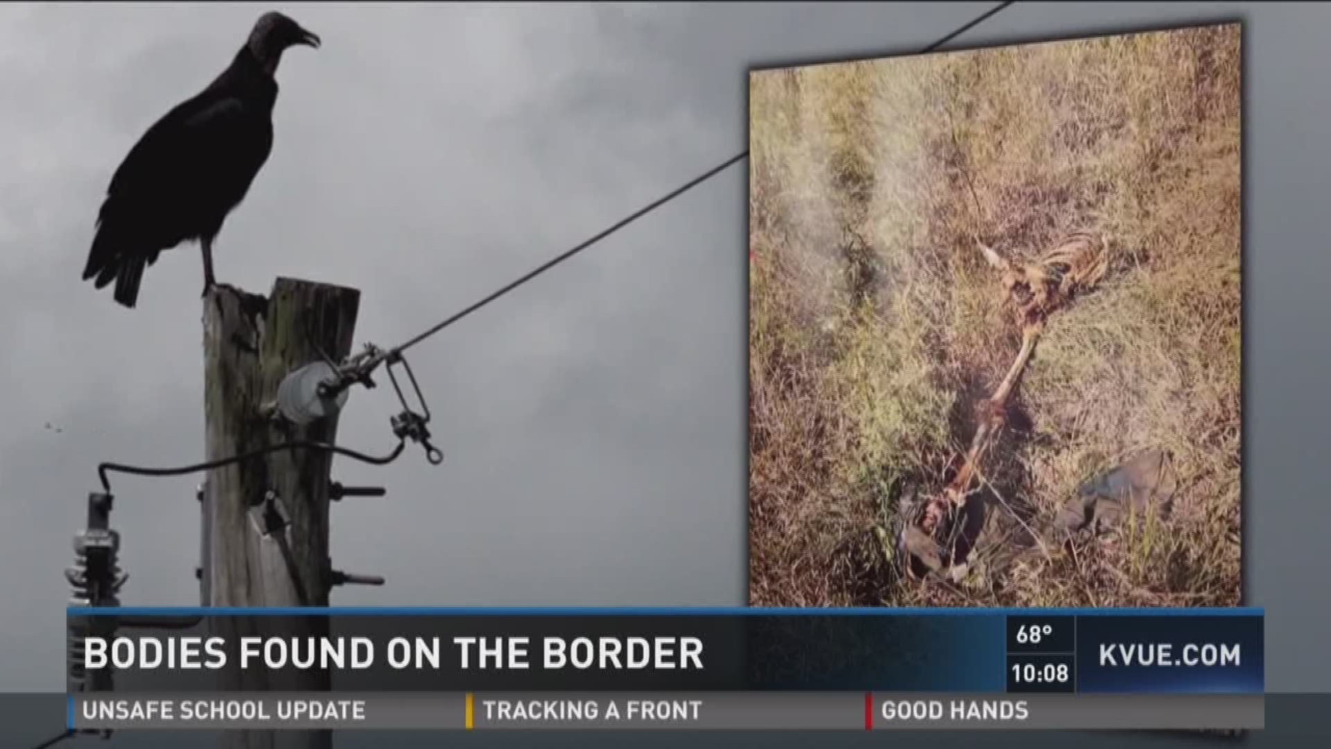 Bodies found on the border