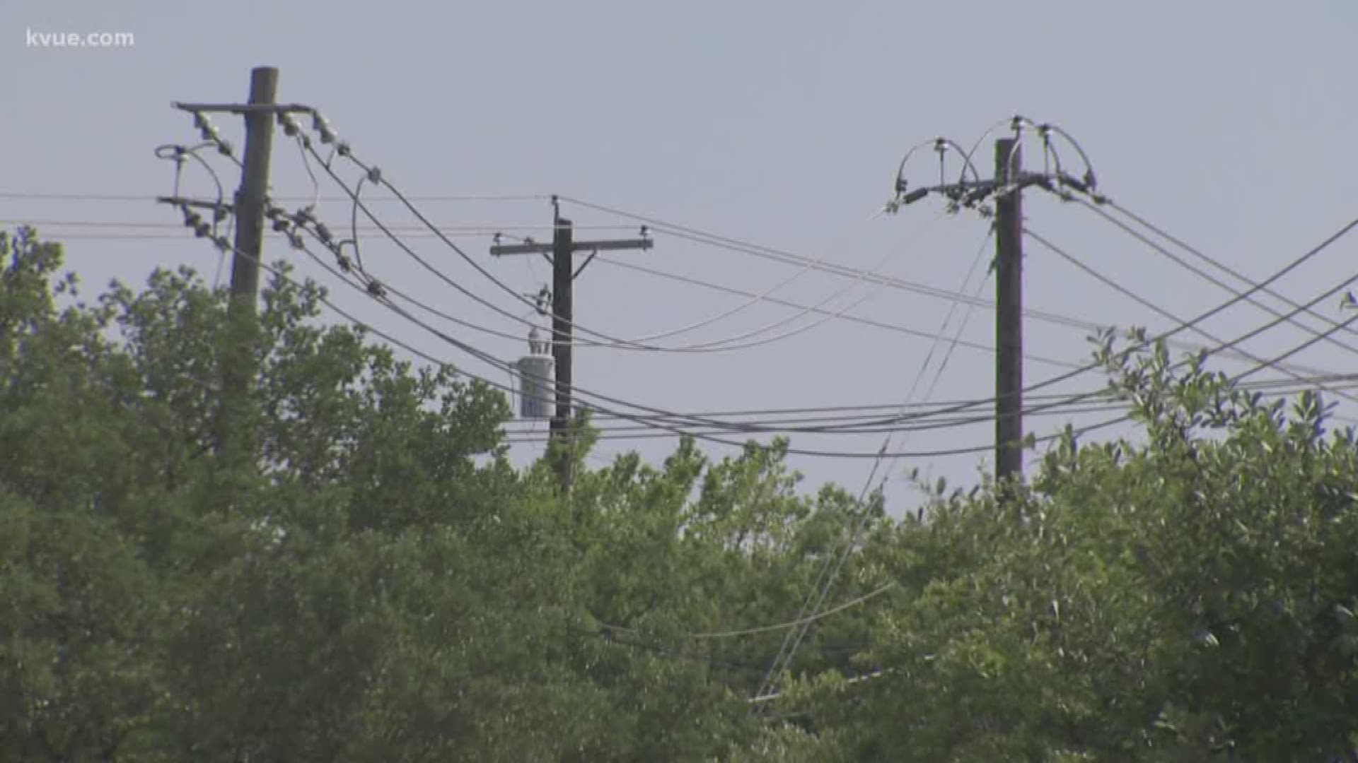 KVUE learned that during Friday night's storms, Austin/Travis County's 911 center received 13 calls for wires down.