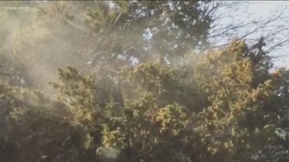 Cedar fever hits Central Texas