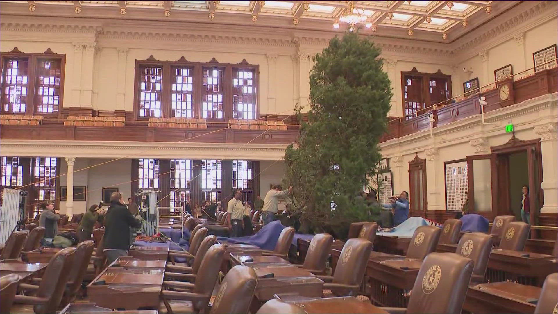 It's beginning to feel a lot like Christmas in the Texas House of Representatives. The 23-foot Virginia pine was put up at the state Capitol on Tuesday.