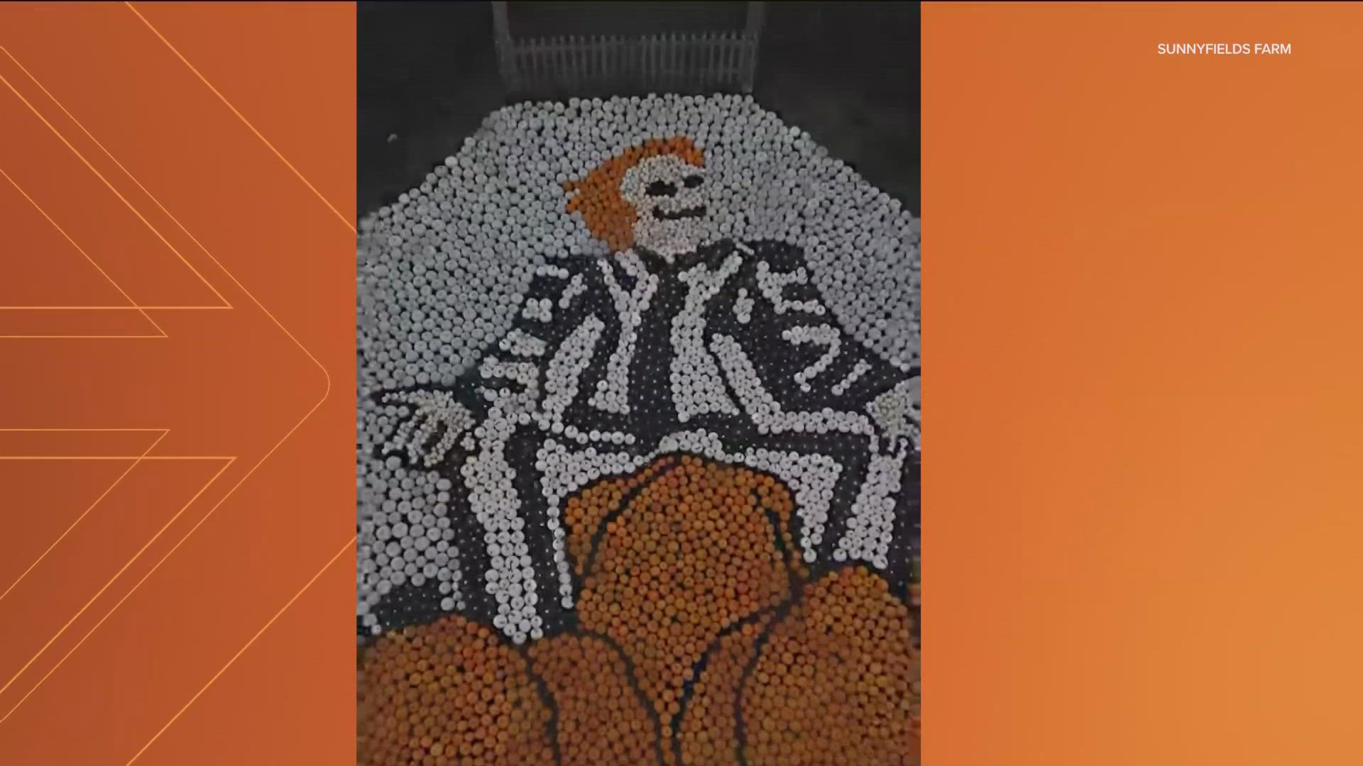 English Farm Creates 'Beetlejuice' Pumpkin Mosaic | Kvue.com