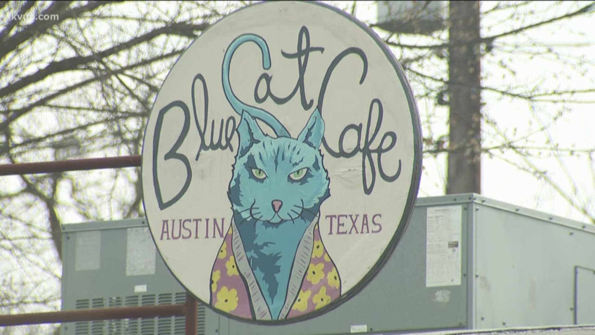 From the time Blue Cat Cafe opened to now, it has created mixed feelings among Austinites.