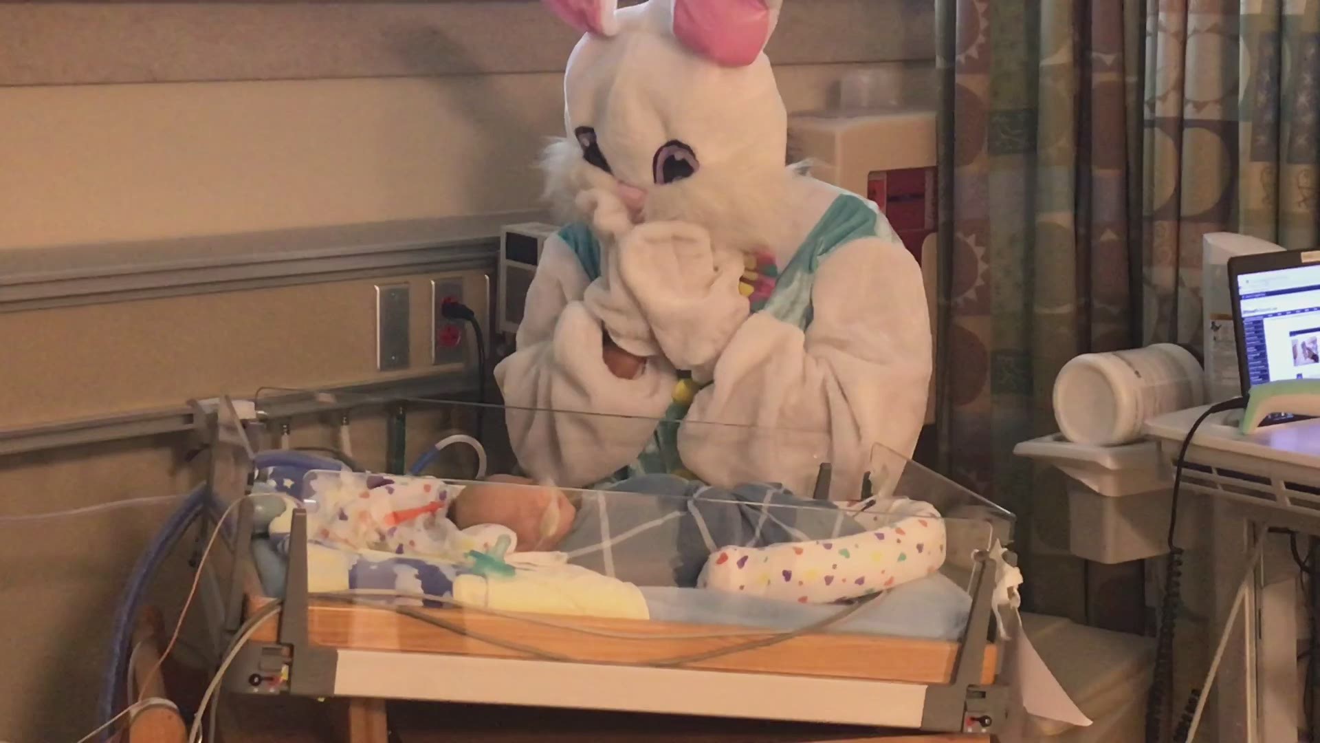 The Easter Bunny visited infants in the NICU at St. David's Women's Center of Texas.