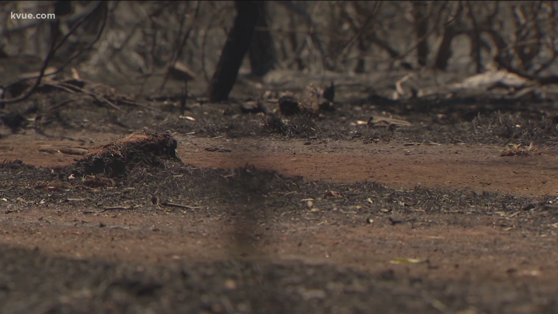 The brush fire forced evacuations Thursday and destroyed two homes.