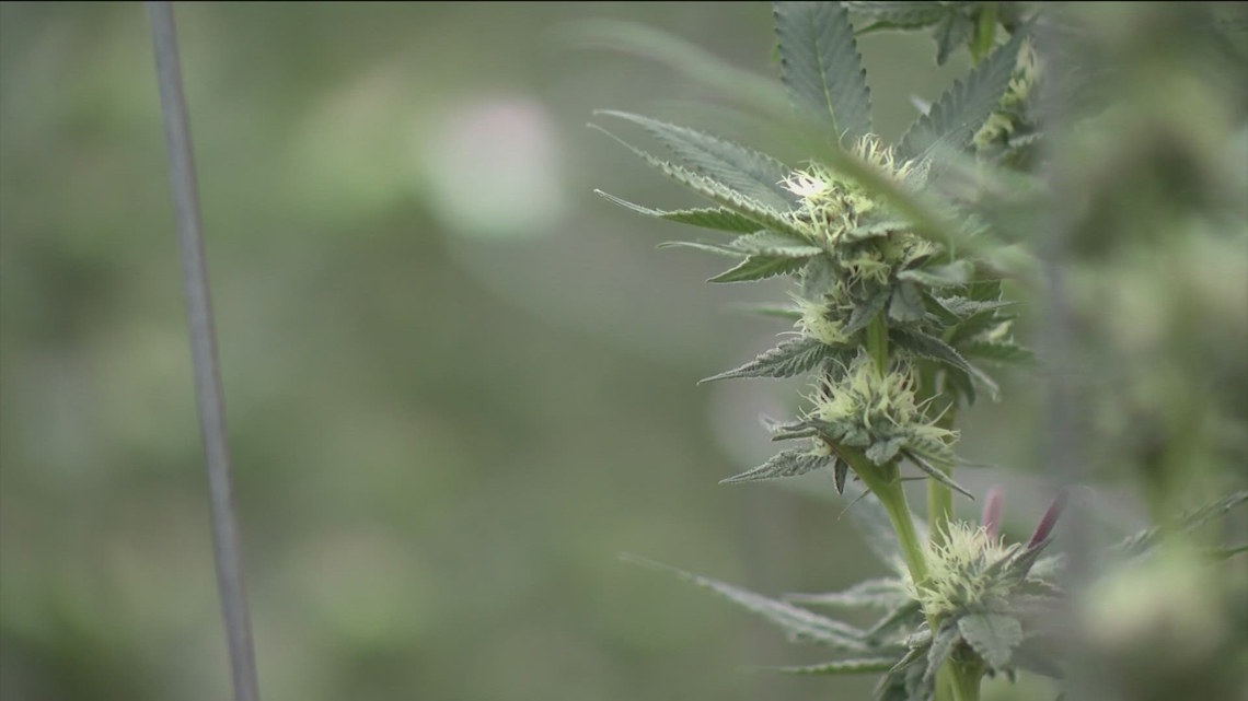 TABC taking feedback on proposed THC rules | kvue.com