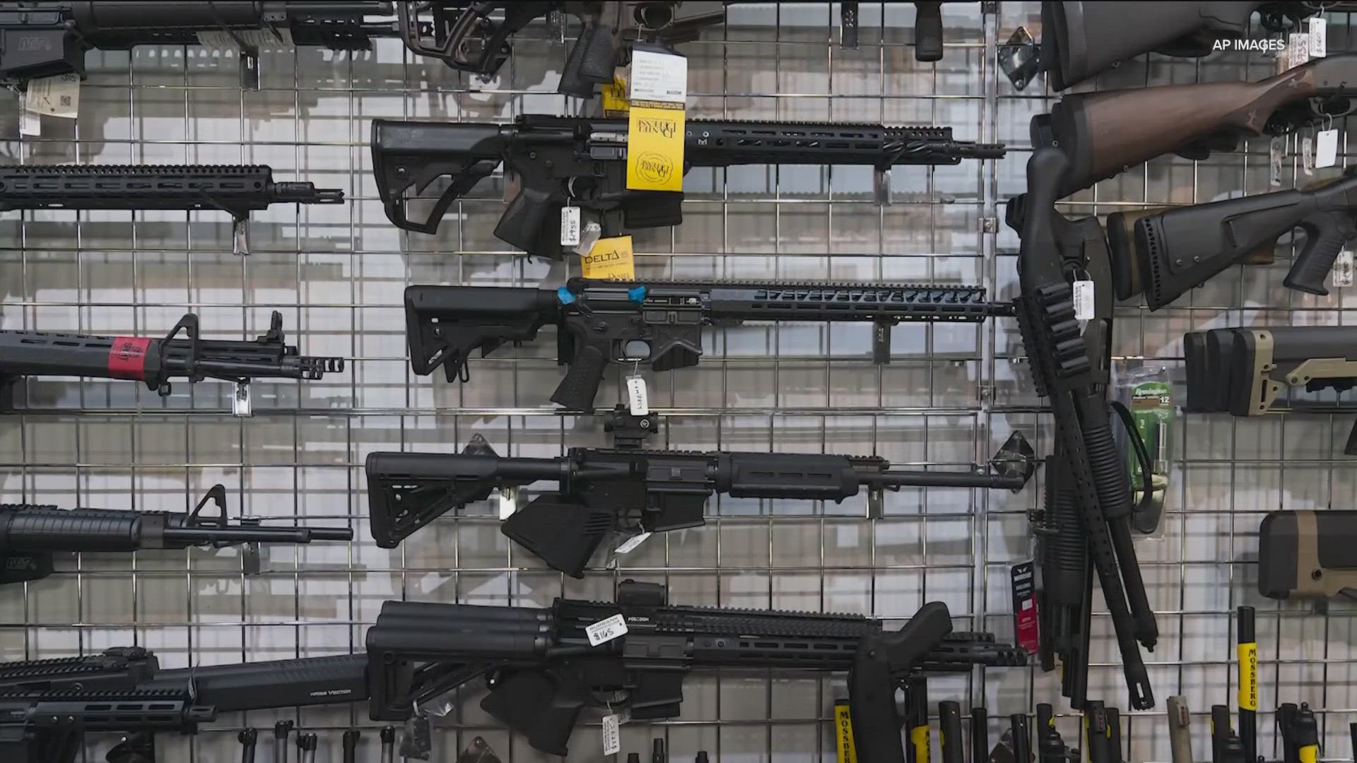The fight over gun reforms have stalled through yet another legislative session.