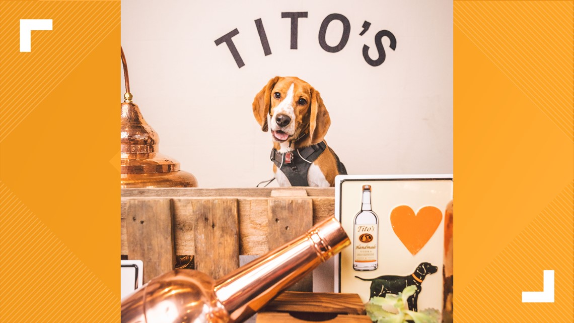 To celebrate its 25th anniversary, Tito's invited all dogs named Tito
