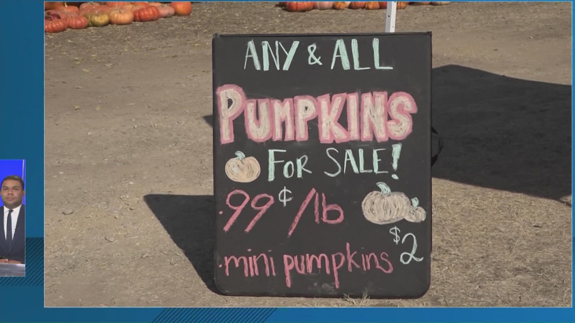 The Round Rock Pumpkin Festival is giving back to the Texas Red Cross that helped residents after being hit by tornadoes in March 2022.