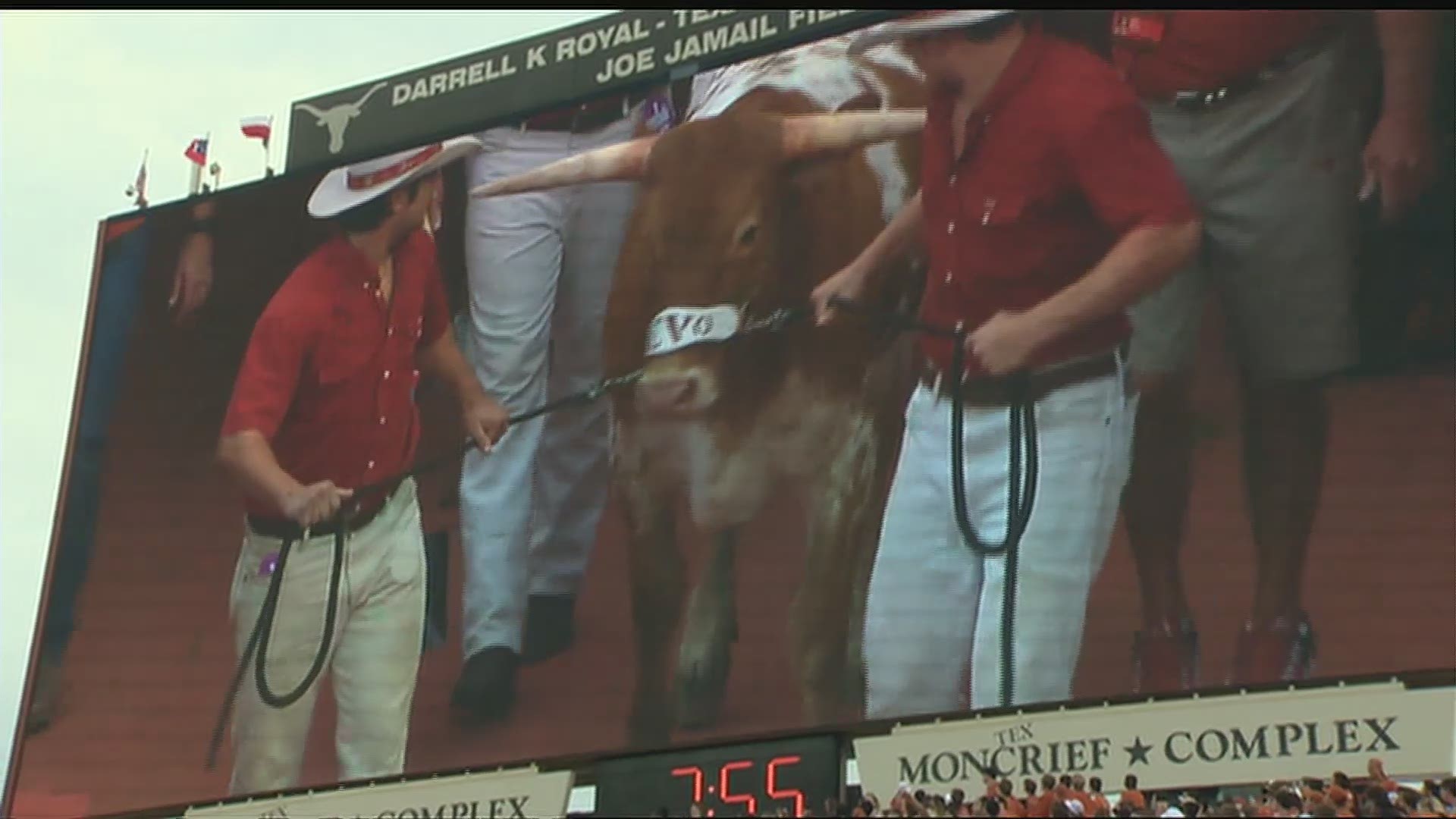 Bevo XV is celebrating his 4th birthday. This video begins with his debut prior to the season opener vs Notre Dame in 2016.