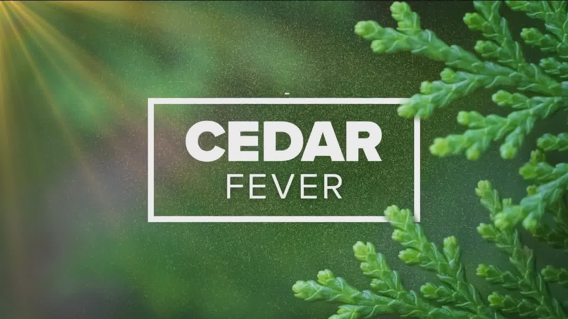 KVUE Chief Meteorologist Hunter Williams spoke to Karl Flocke with the Texas A&M Forest Service about how weather affects cedar season.