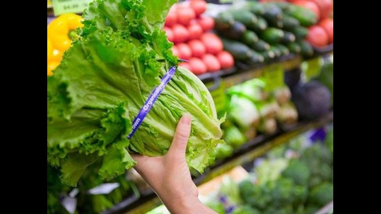 CDC Says Romaine Lettuce is Source of e. Coli Breakout