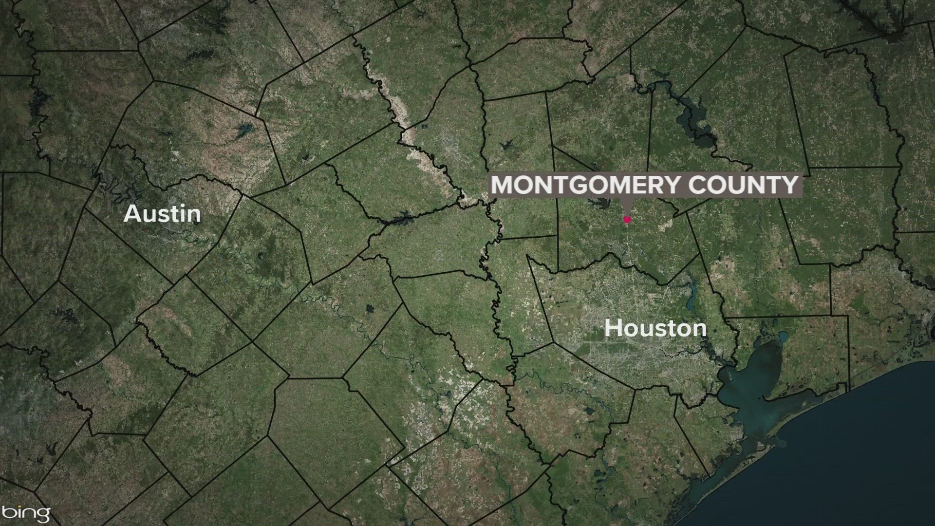 A person in Montgomery County, north of Houston, was diagnosed with West Nile fever.