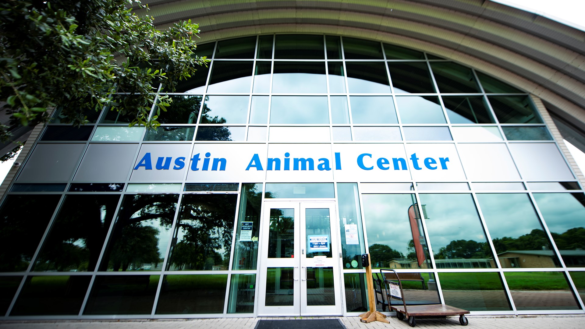 Austin Animal Center says all adoption fees waived as it faces a 'space crisis' for dogs