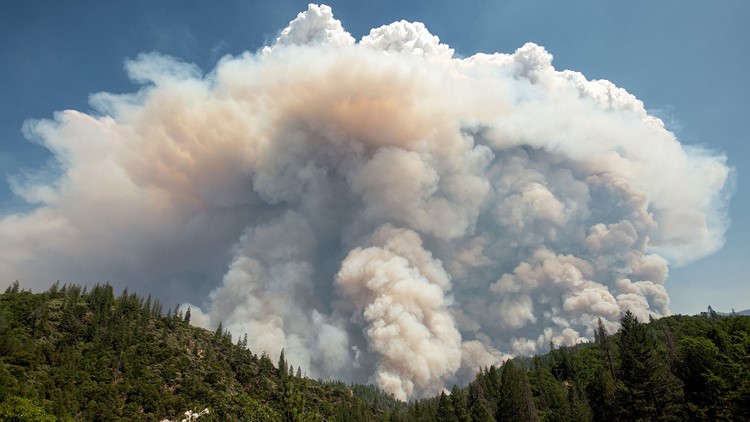 What Are The Top Causes Of Wildfires 1709