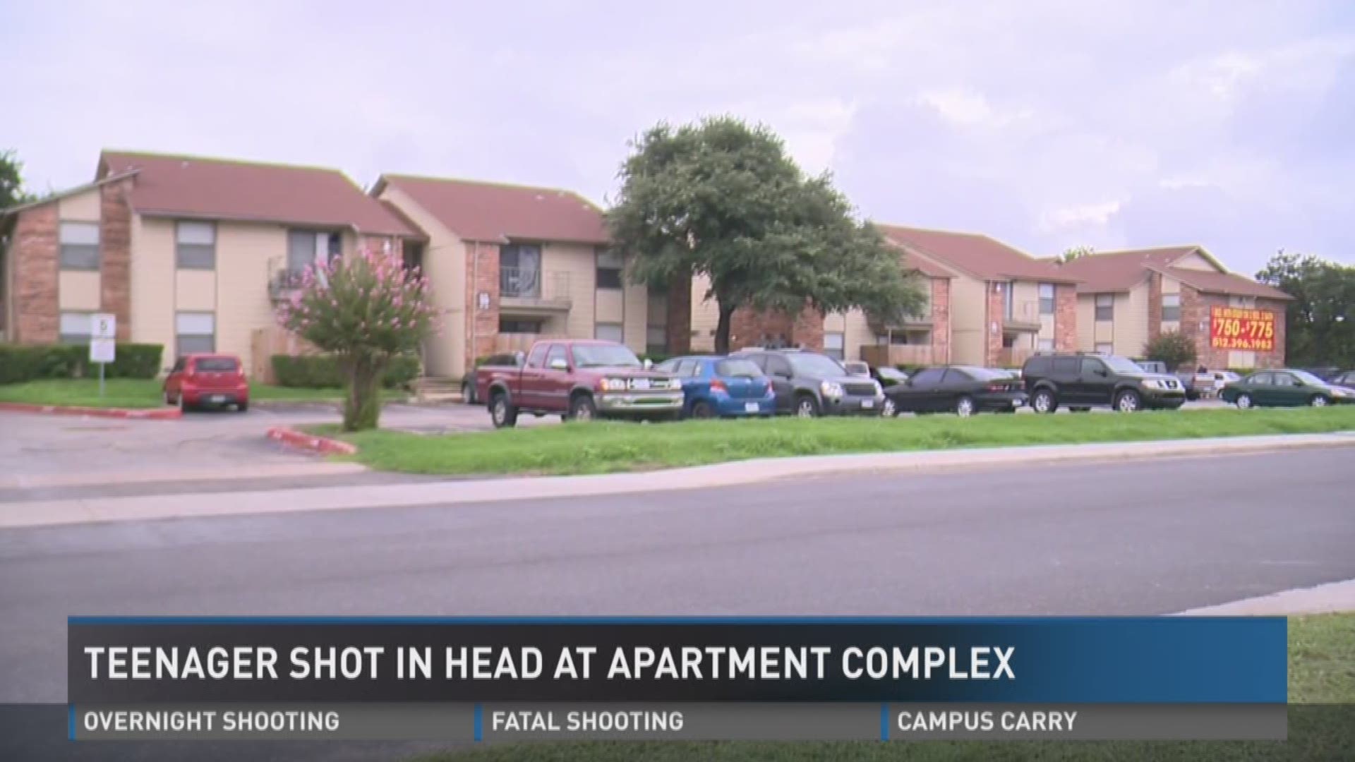 San Marcos man shot in the head in overnight shooting