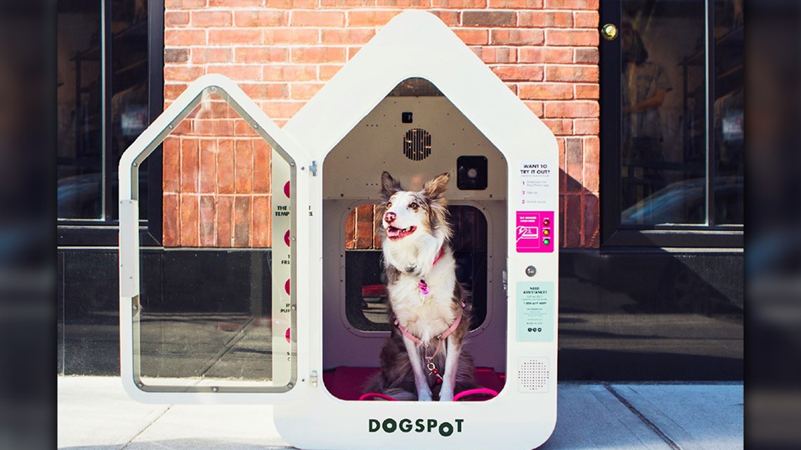 Hill Country Galleria debuts firstever 'sidewalk sanctuary' for dogs