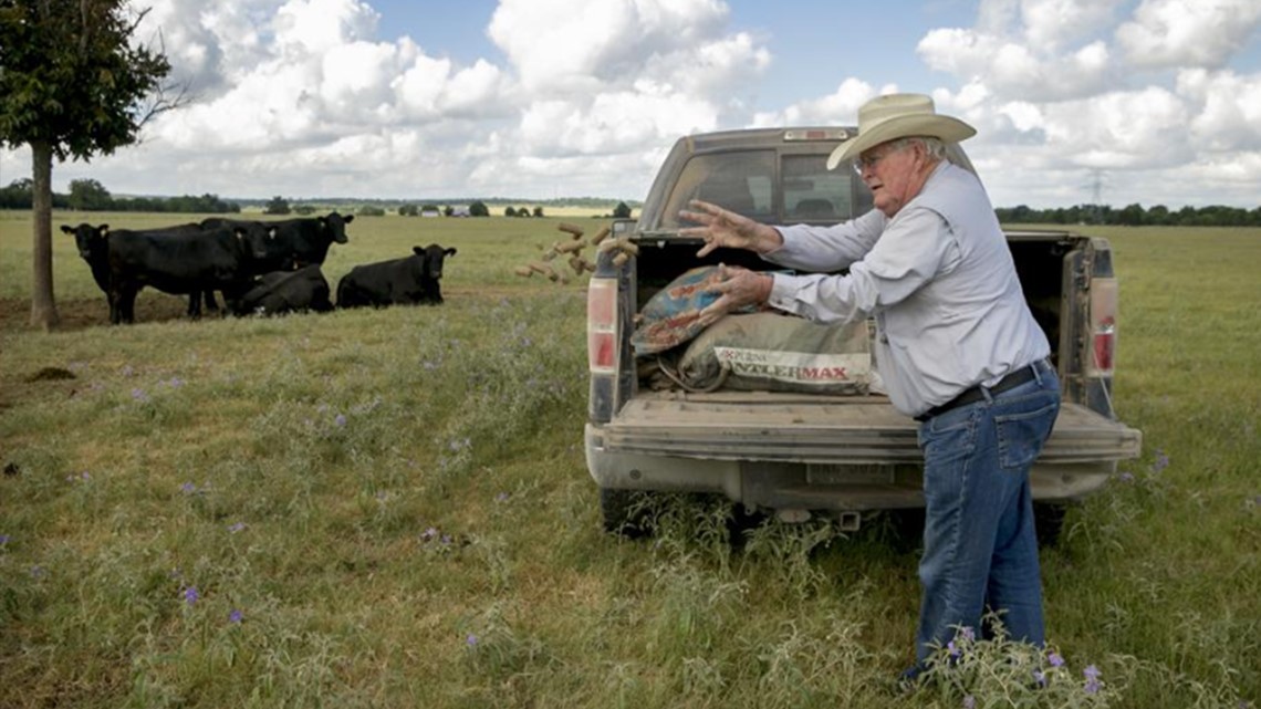 Hay shortage leaves Texas ranchers scrambling for cattle feed