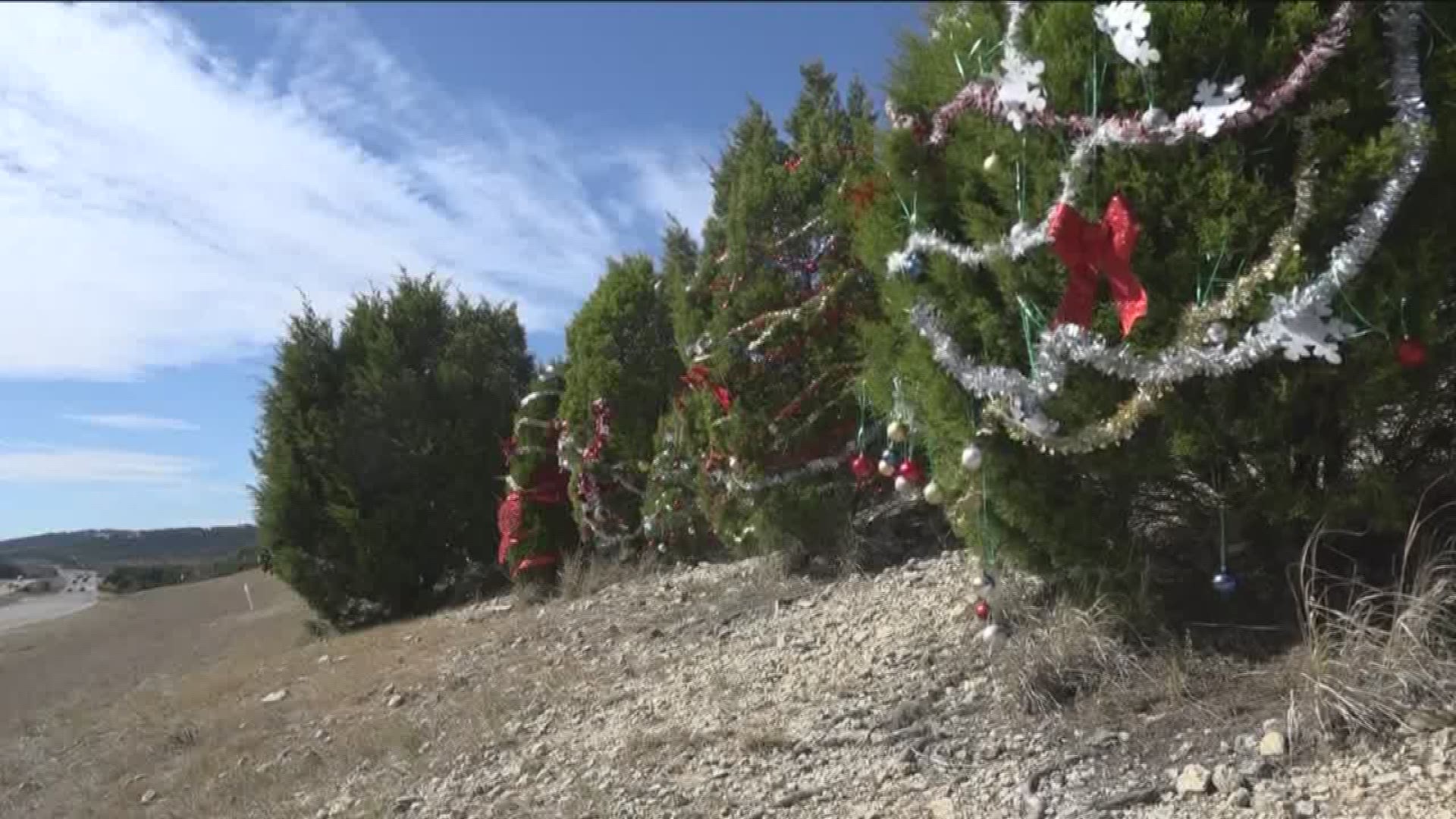 Whether you love the tradition or hate it, people are decorating the trees on Loop 360. Luis De Leon shows us how they're doing it in an eco-friendly way.