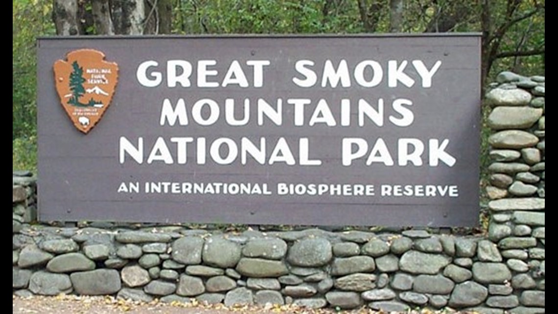 Bear Euthanized After Body Found | Great Smoky Mountains Guide