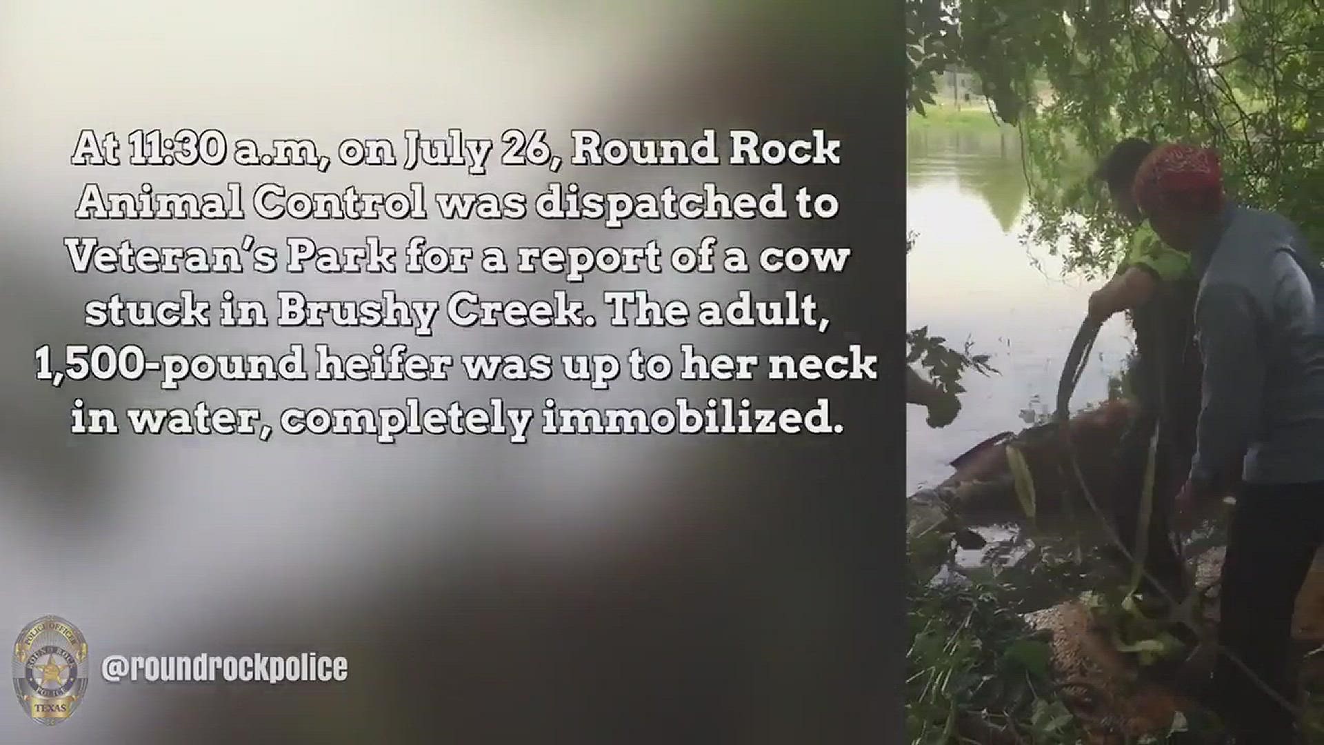 Video courtesy of Round Rock Police.