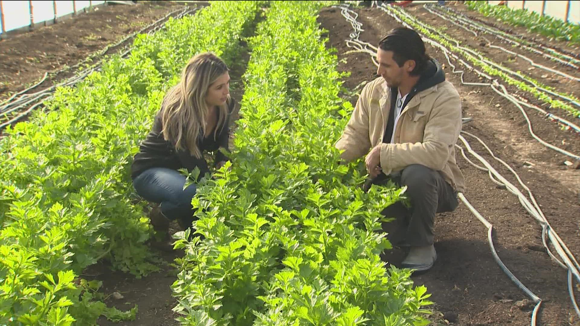 Texas has more farms than any other state, and most of those are small, family-owned businesses. KVUE's Conner Board took a trip to Emadi Acres Farm.