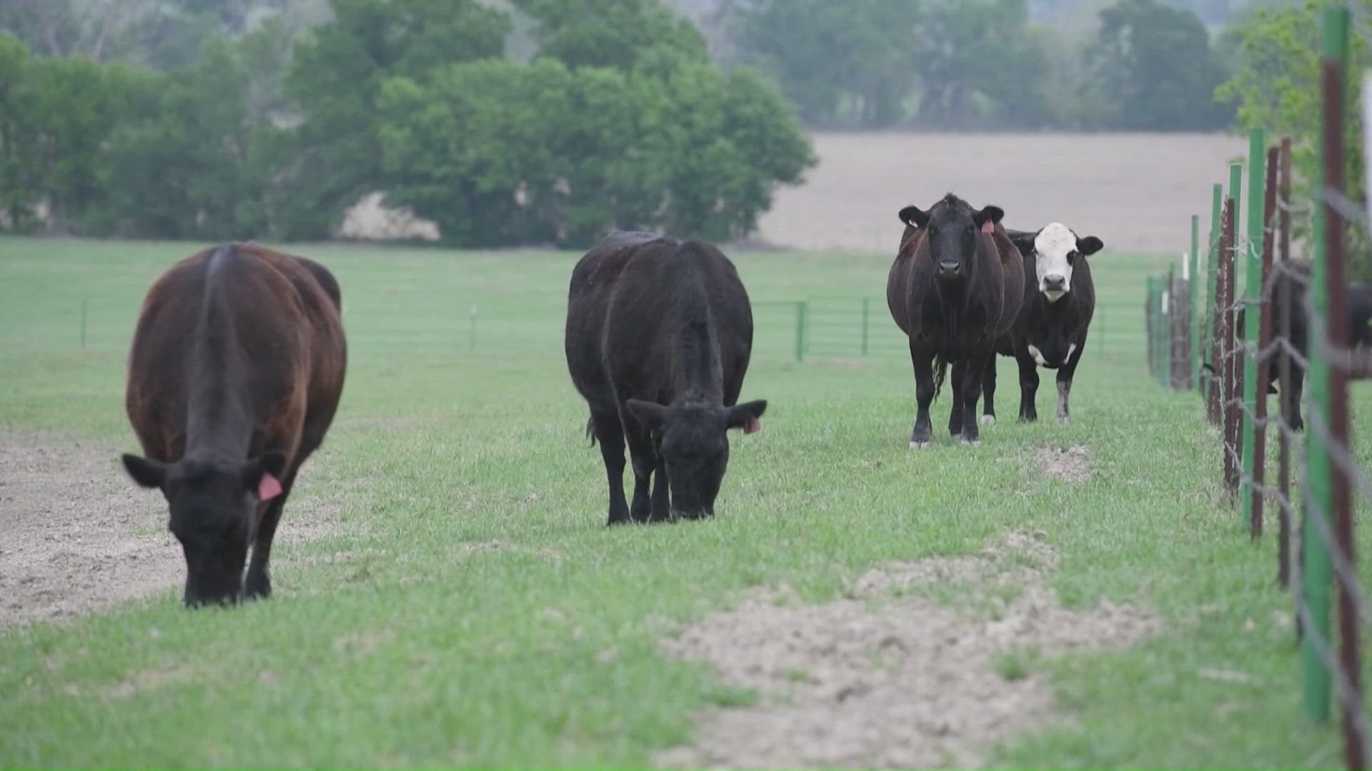 Evan Mobley and James Harden lead the way as Cavaliers beat short-handed Bucks 123-116