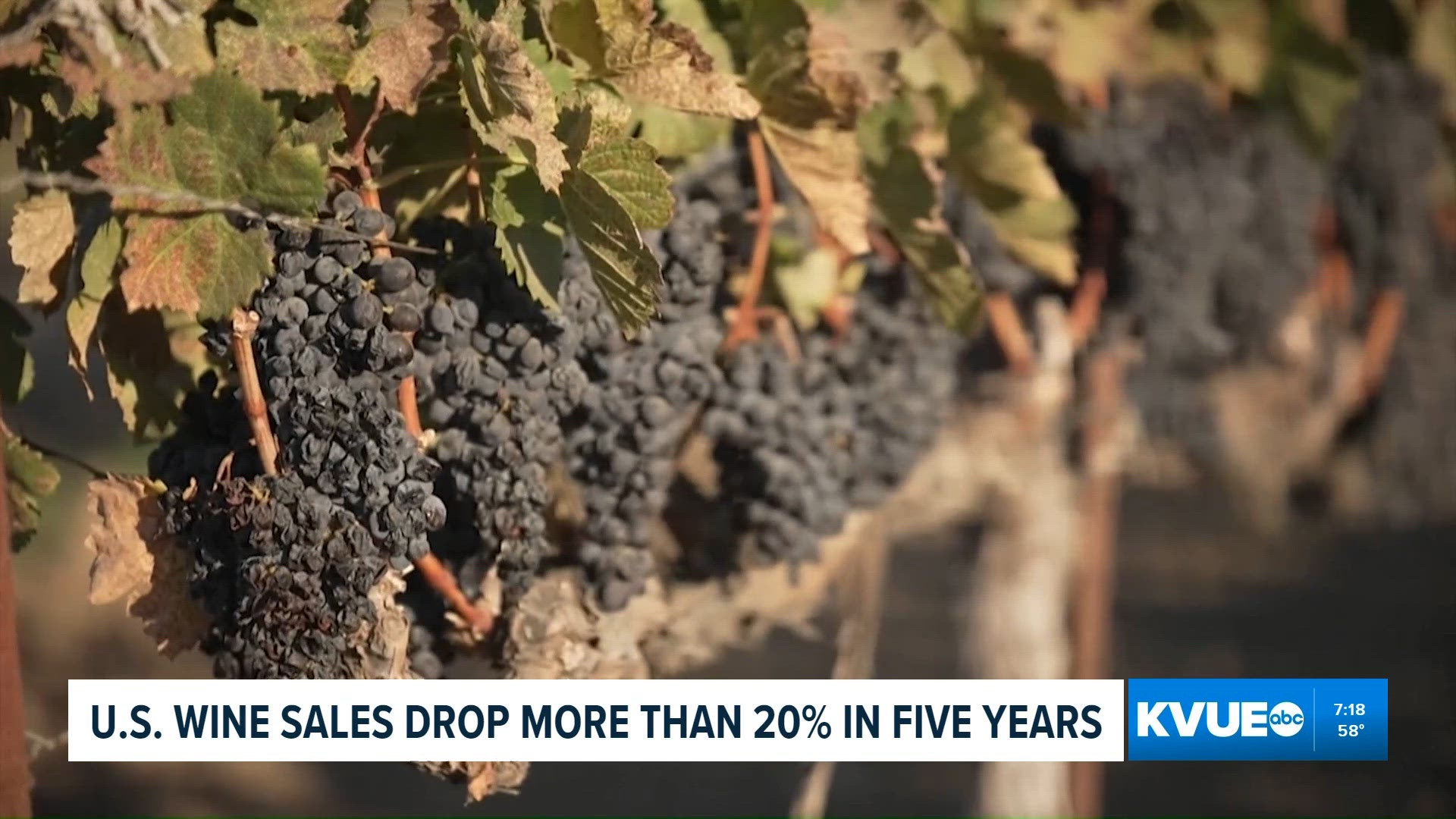 US wine sales at a 20-year low, data shows | kvue.com