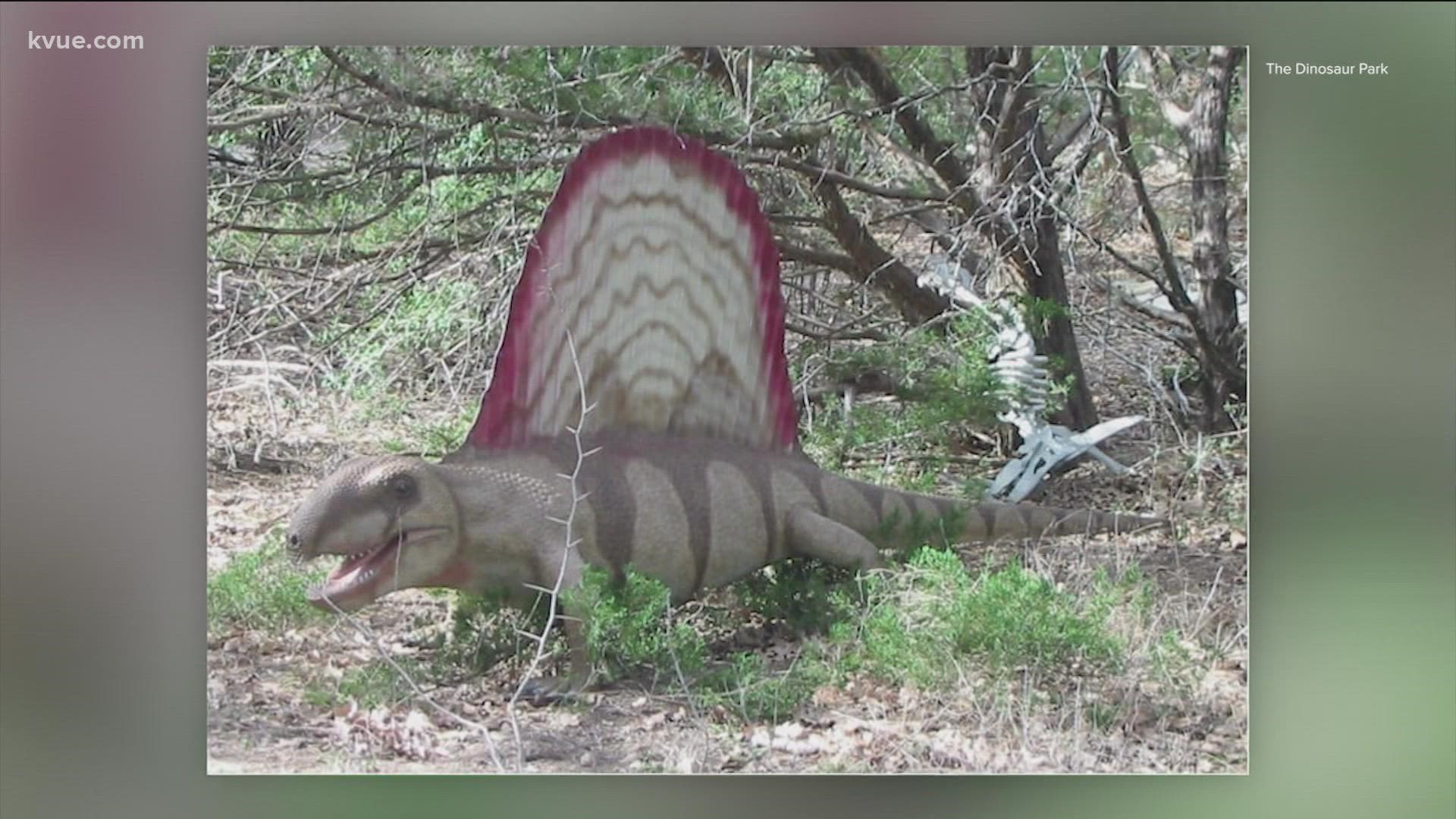 The Dinosaur Park said three dinosaur statues were stolen.