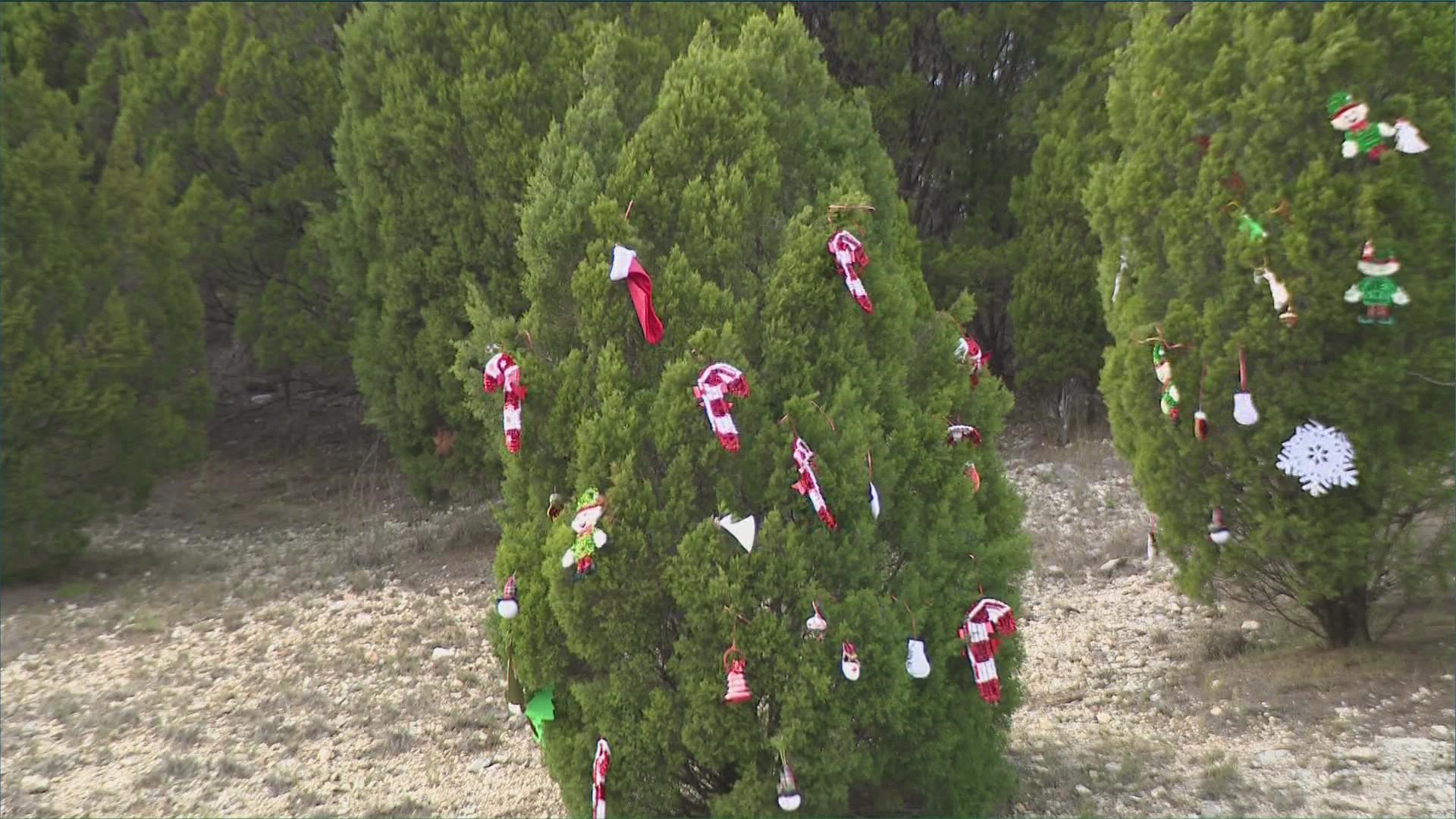 The Austin 360 tree tradition is back!