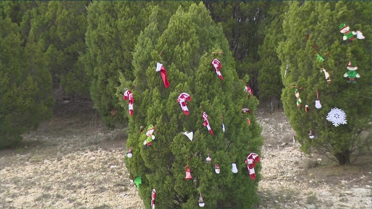 360 trees decorated for Christmas