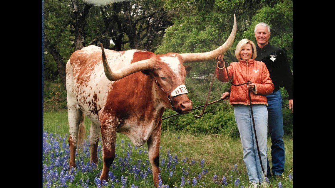 Bevo  The UT History Corner