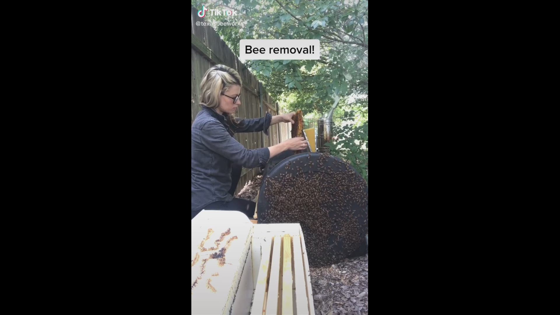 Erika Thompson created some buzz after she shared on TikTok how she safely removes bees in Austin. She is the owner of Texas Beeworks. (Credit: @Texasbeeworks)
