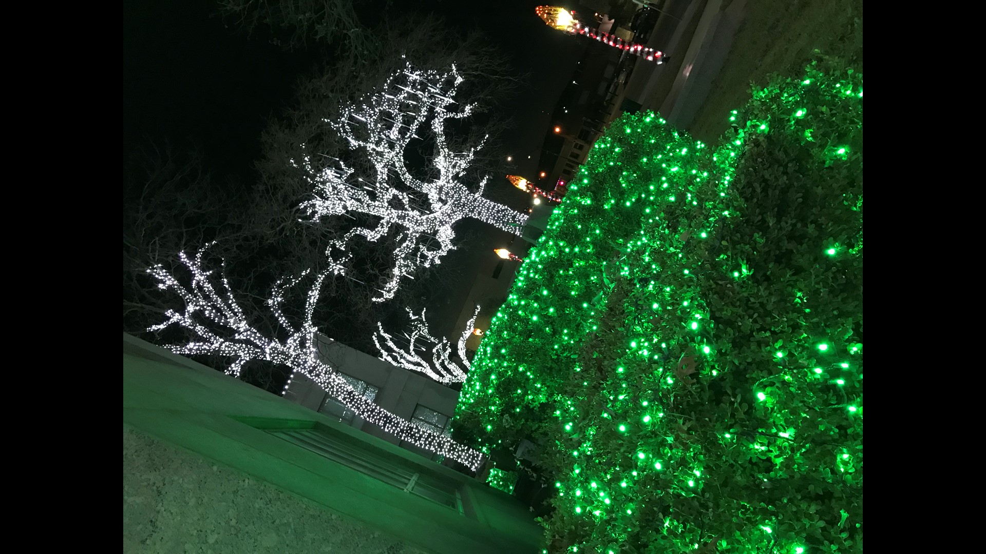 PHOTOS Christmas lights sparkle at the County Courthouse