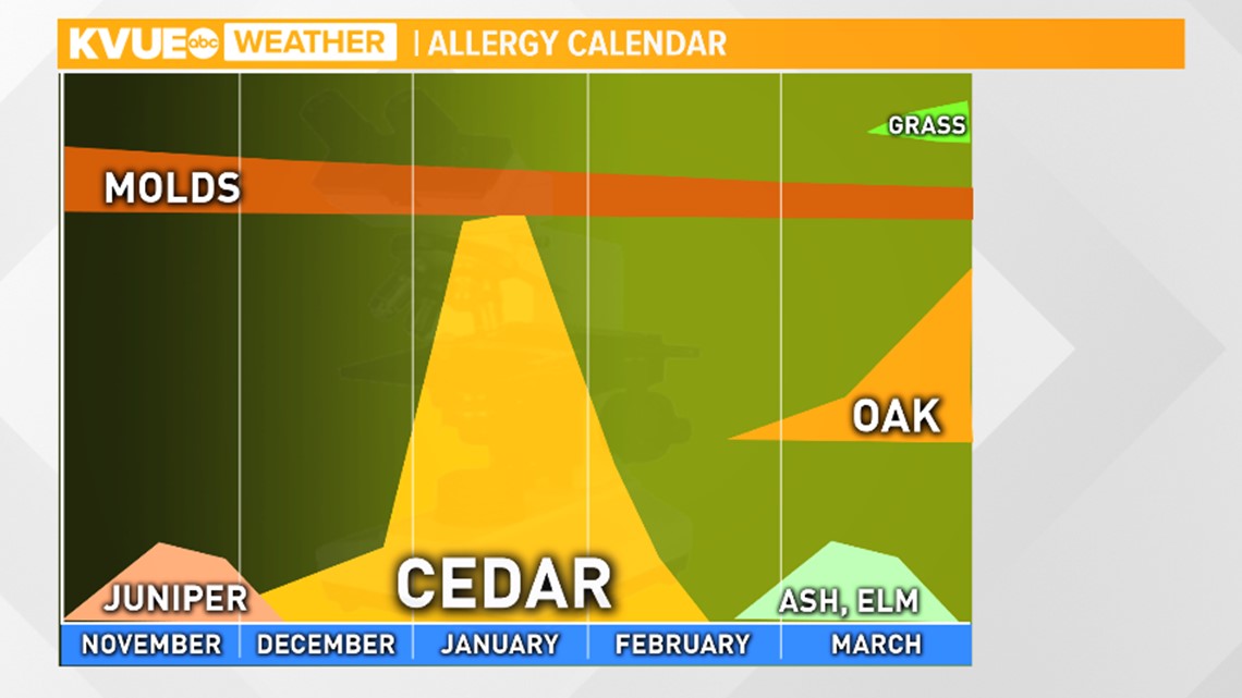 Austin allergies Cedar season officially starts in Central Texas