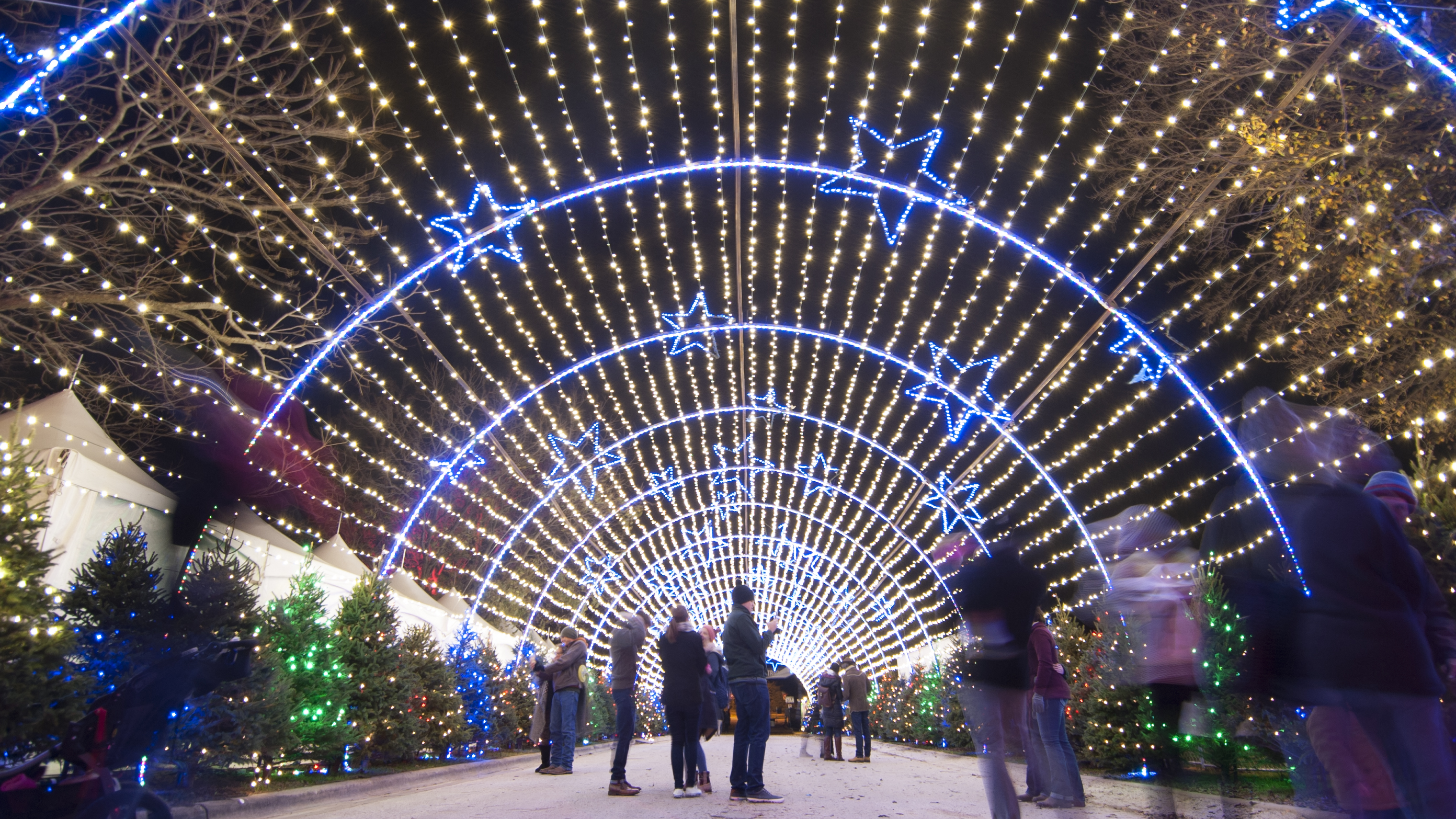 Austin S Trail Of Lights Nominated For Best Public Holiday