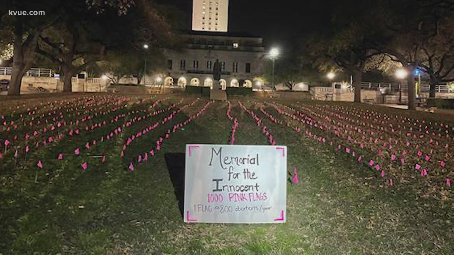 The Young Conservatives of Texas placed a thousand pink flags on the south lawn Tuesday, they say as a display of support for the lives lost to abortion.