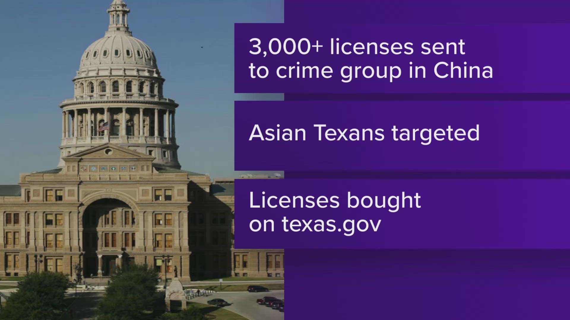 The head of the Texas DPS told lawmakers that his department was tricked into shipping at least 3,000 driver's licenses to an organized crime group.