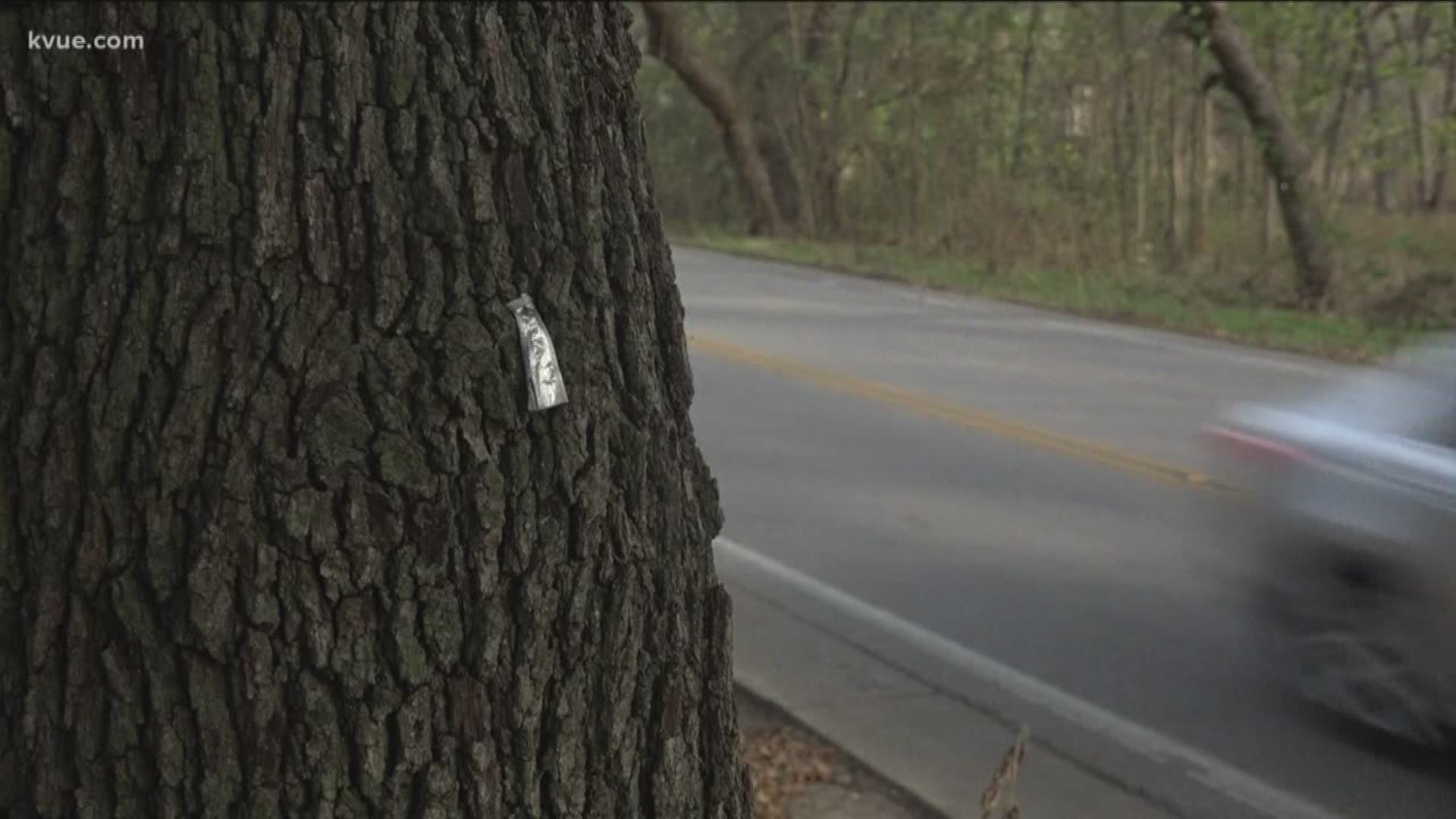 Since 2015, Williamson County has been trying to improve the safety of Hairy Man Road/Brushy Creek Road. Soon, they will post a bid to remove 104 trees on the road.