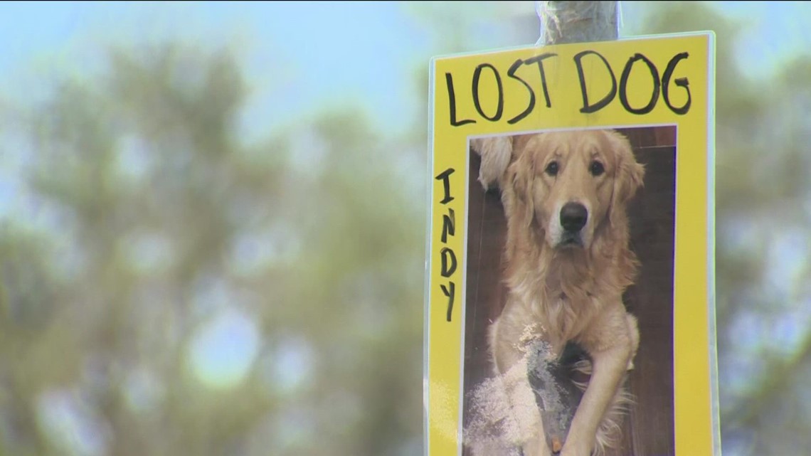 Investigation launched after lost dog found buried at pet resort | kvue.com