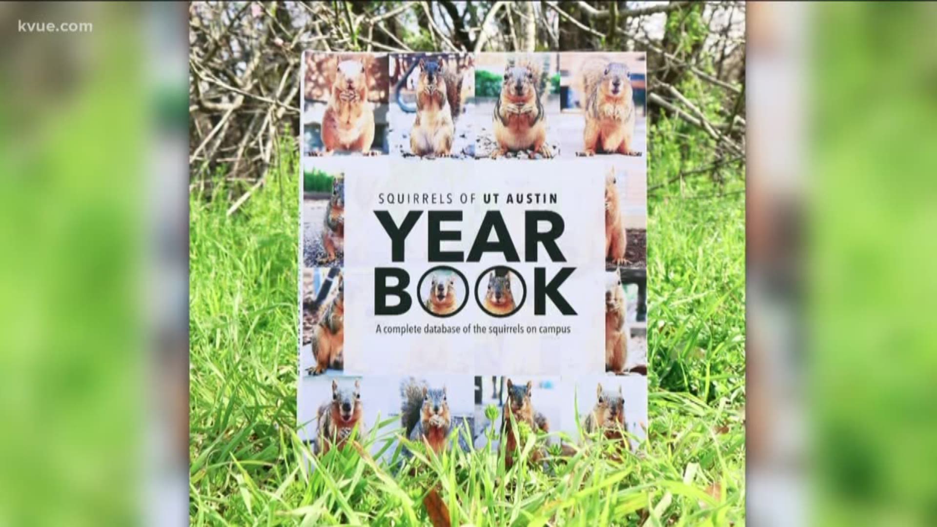Students at the University of Texas can go nutty for the squirrels on campus with a new yearbook featuring the furry animals.