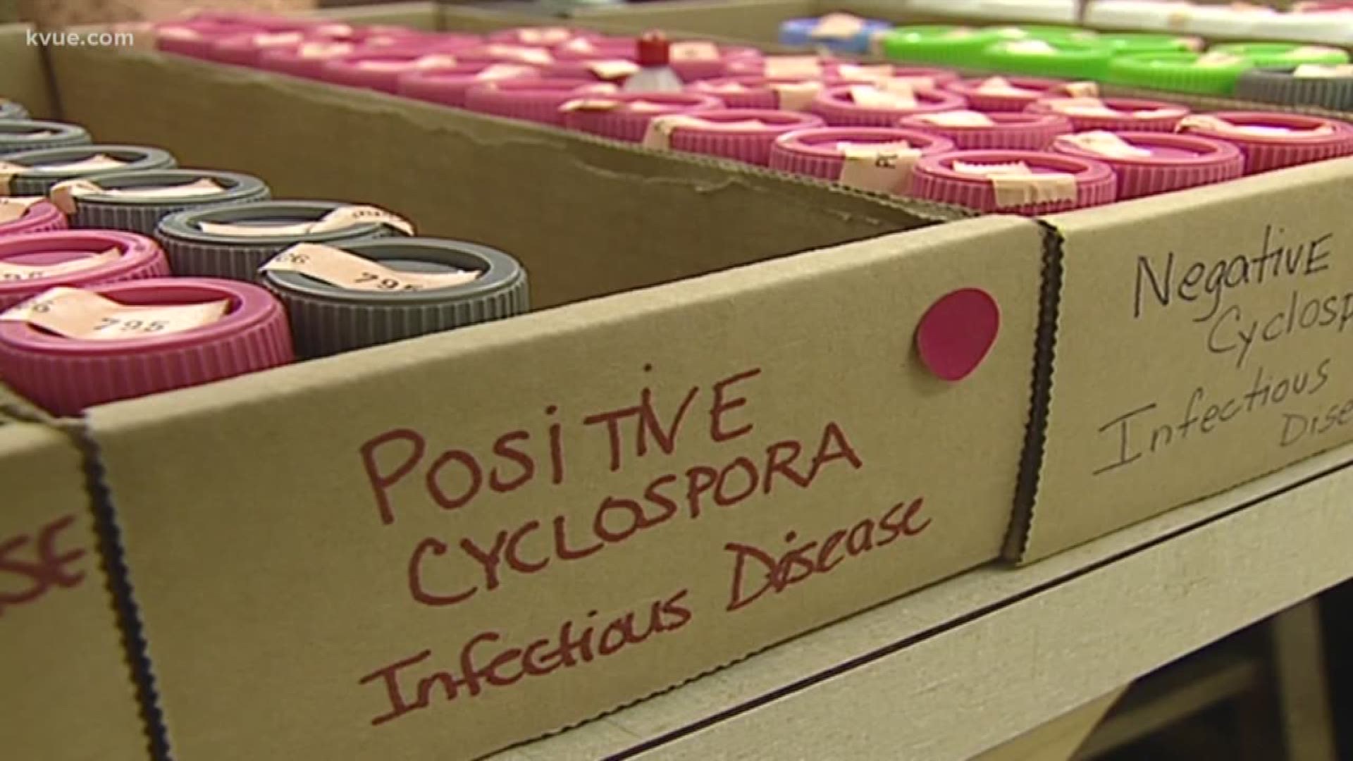 An outbreak of the parasite known as Cyclospora is getting worse in Travis County.