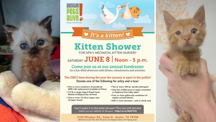 baby wipes for kittens