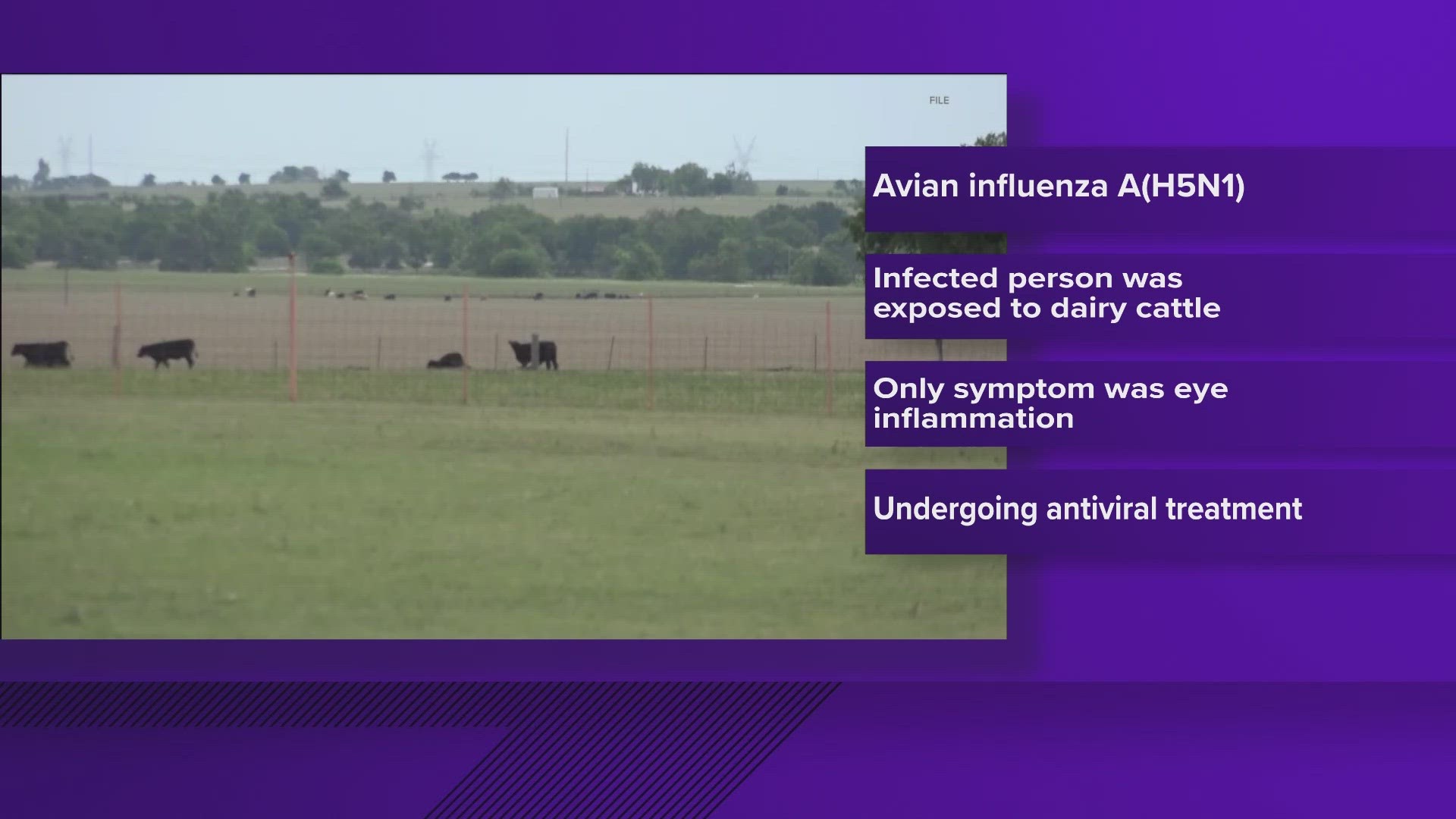The Texas Department of State Health Services has confirmed a human case of avian influenza, or bird flu.