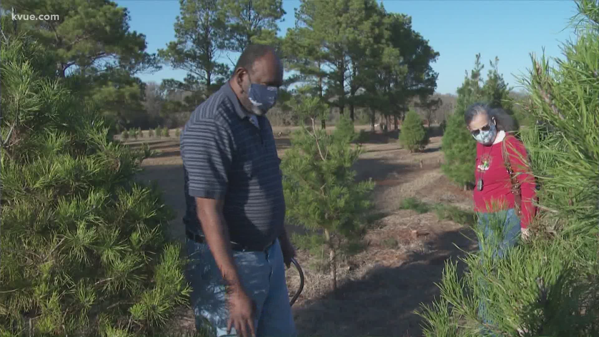 Christmas tree farms are running out of stock this year. Owners say they are selling out earlier than expected.