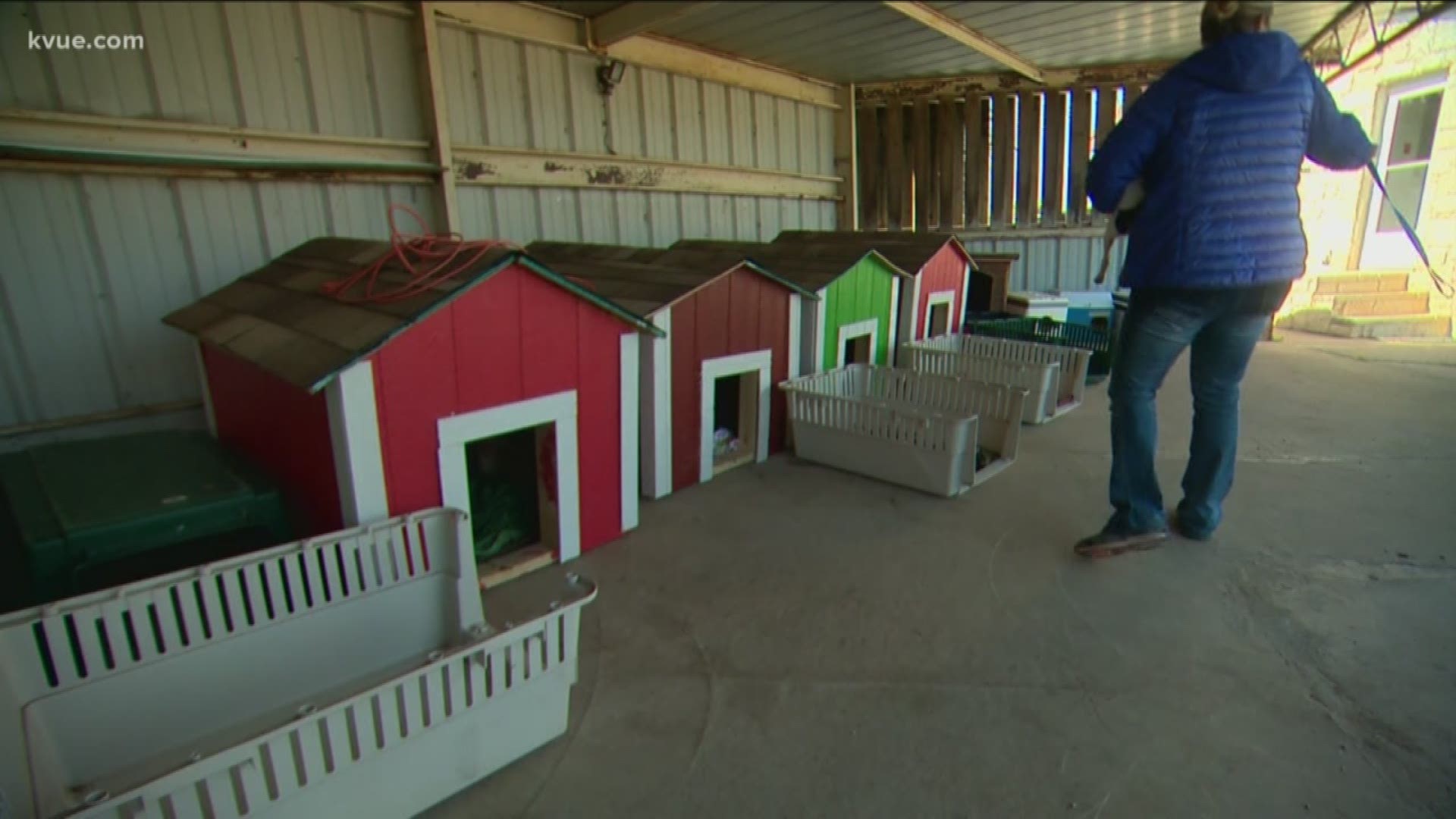 Marble Falls students build, donate dog houses 