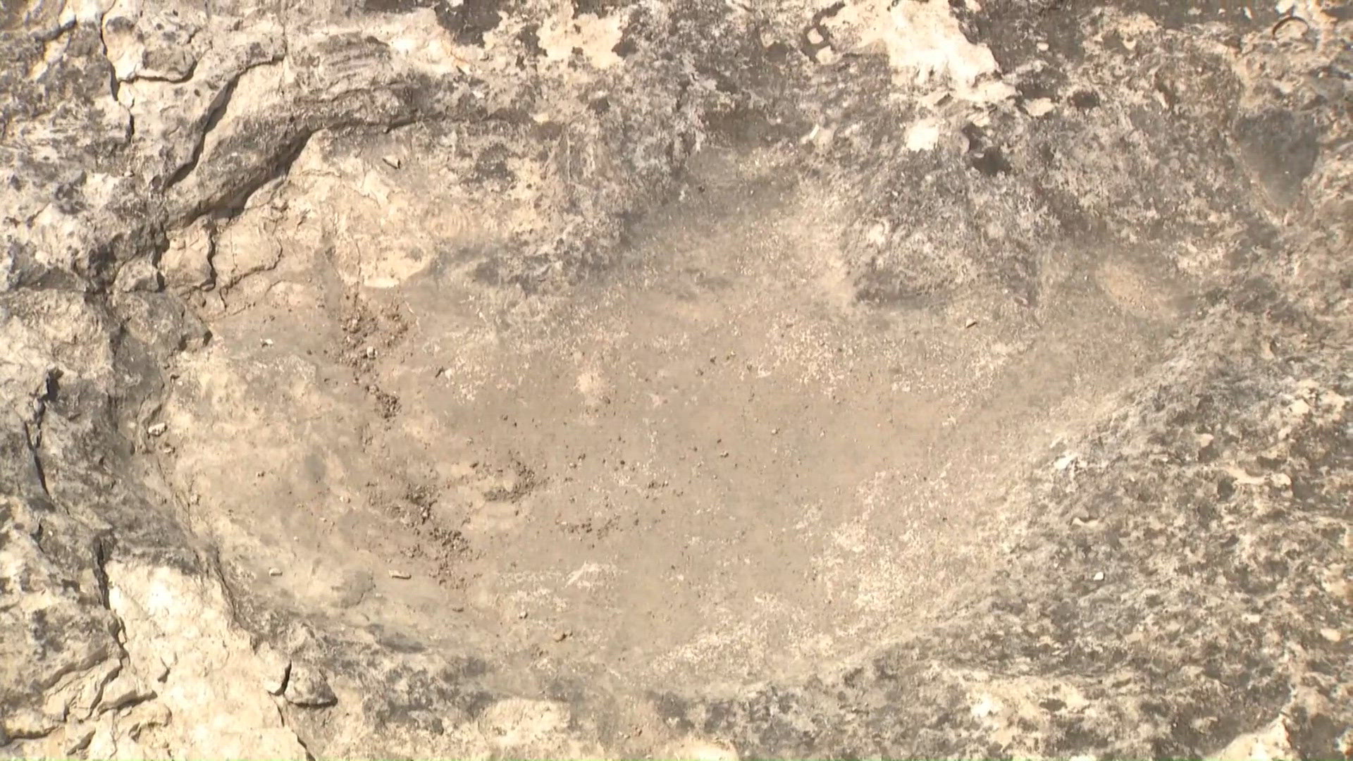 Discovery of dinosaur track in Hutto offers glimpse into Central Texas' prehistoric past