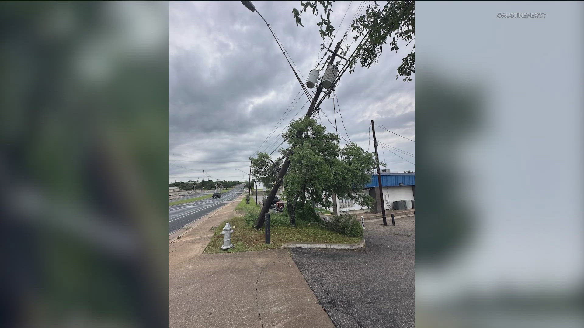 Trees and branches fell on utility pole wires and caused the outages, according to Austin Energy.